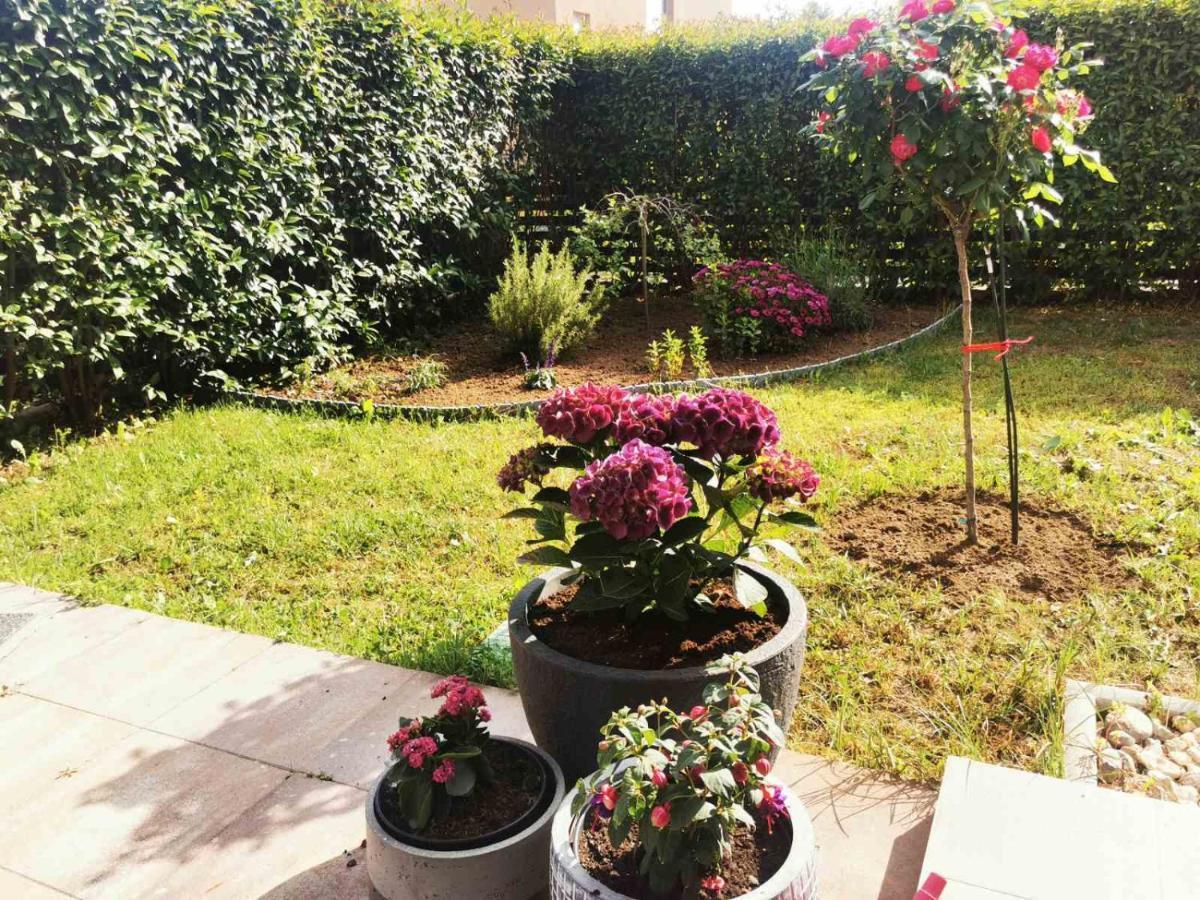 Adara Apartman